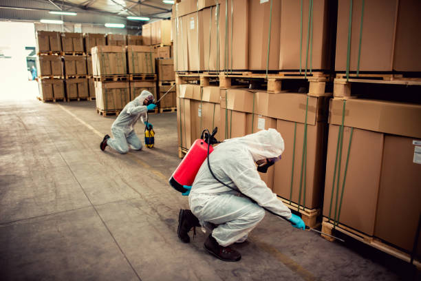 Best Mosquito Control Services  in Bayport, MN