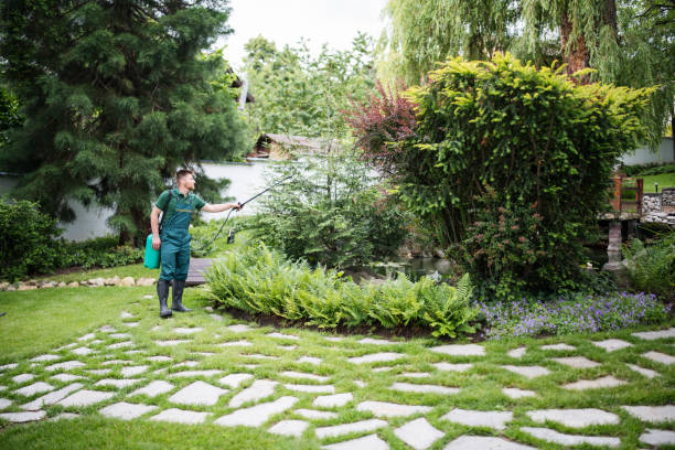 Best Pest Control Treatment  in Bayport, MN