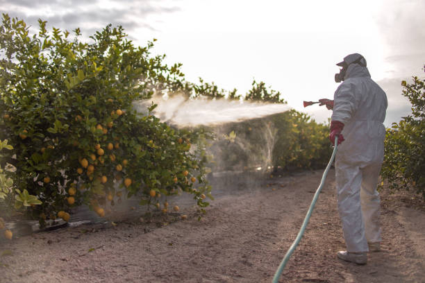 Best Local Pest Control Services  in Bayport, MN