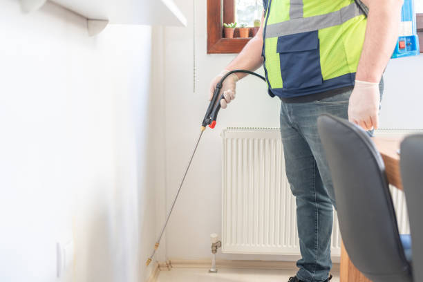 Best Flea Control Services  in Bayport, MN