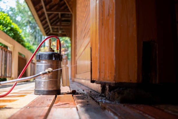 Best Ant Control Services  in Bayport, MN