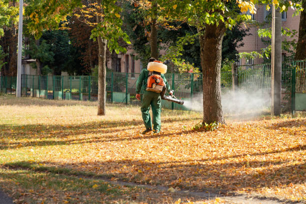 Best Wasp Removal Services  in Bayport, MN