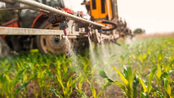 Best Pest Inspection Near Me  in Bayport, MN